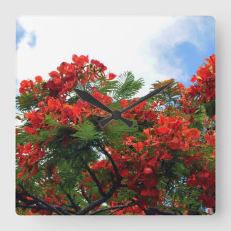 Reloj Cuadrado Hawaiian Royal Poinciana Flowering Tree