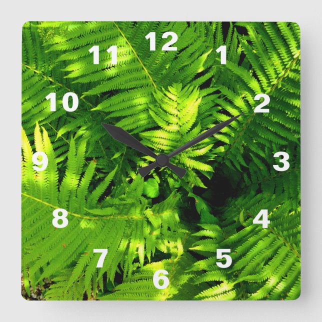 Reloj Cuadrado Helecho (Anverso)