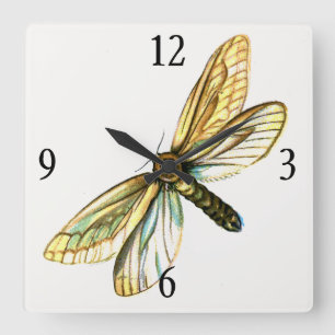 Reloj Cuadrado Hepialus humuli female - Ghost Moth or Ghost Swift