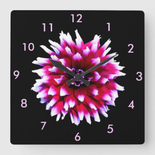 Reloj Cuadrado Hermosa Dalia Rosa Blanca sobre Fondo Negro