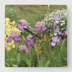 Reloj Cuadrado Hermosa Flor de Iris Púrpura Foto floral