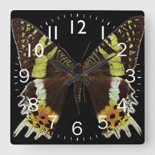 Reloj Cuadrado Hermosa mariposa cerrada