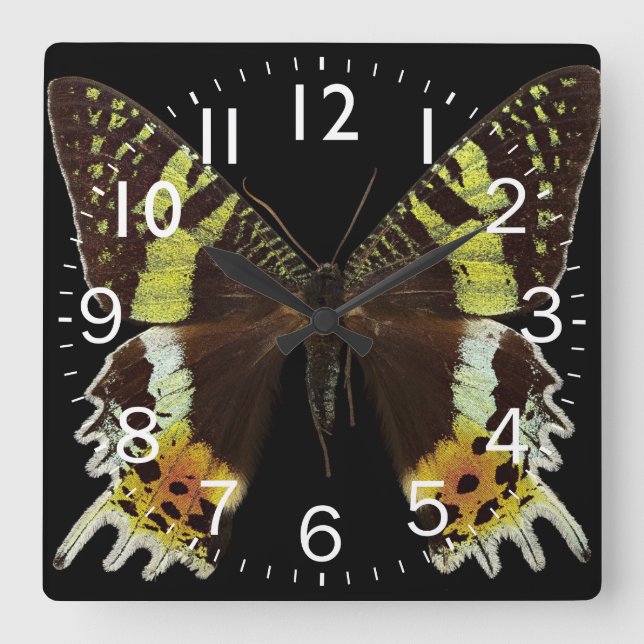 Reloj Cuadrado Hermosa mariposa cerrada (Anverso)