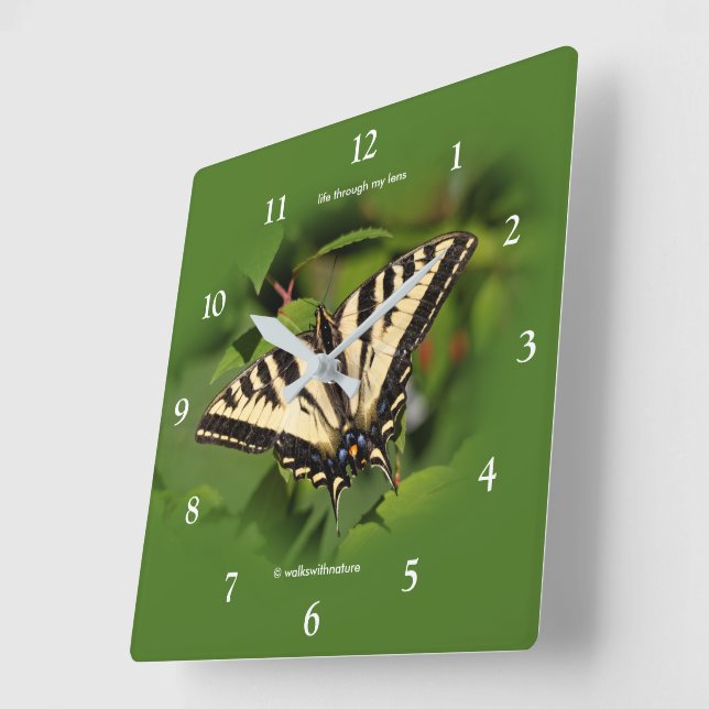 Reloj Cuadrado Hermosa mariposa de cola cruda de tigre occidental (Ángulo)