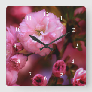 Reloj Cuadrado Hermosas flores de cerezo rosado de primavera