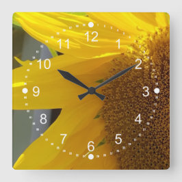 Reloj Cuadrado Hermoso acercamiento al girasol