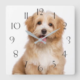 Reloj Cuadrado Hermoso cachorro havanés feliz sentado