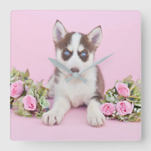 Reloj Cuadrado Hermoso cachorro humilde con rosas rosas rosas