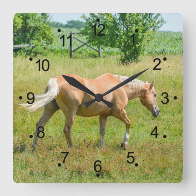 Reloj Cuadrado Hermoso campo de caballos Palomino (Anverso)