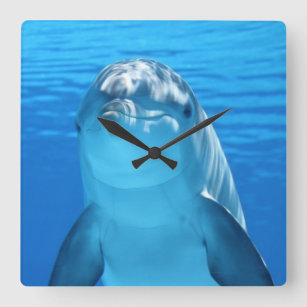 Reloj Cuadrado Hermoso delfín