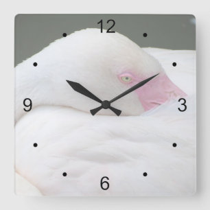 Reloj Cuadrado Hermoso Flamingo Blanco