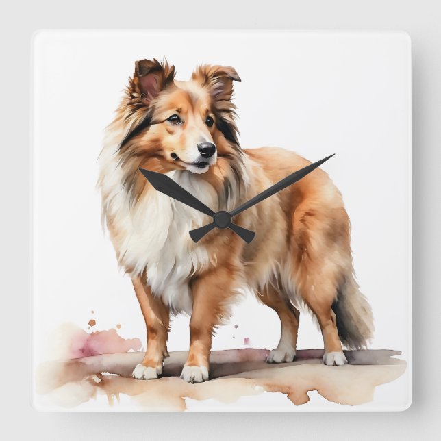 RELOJ CUADRADO HERMOSO FLUFFY SHETLAND SHEEPDOG PERRO (Anverso)