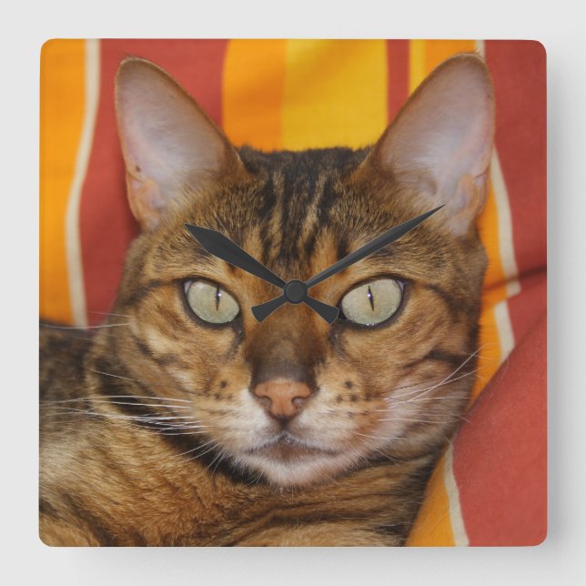 Reloj Cuadrado Hermoso gato bengalí (Anverso)