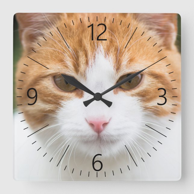 Reloj Cuadrado Hermoso gato rojo (Anverso)