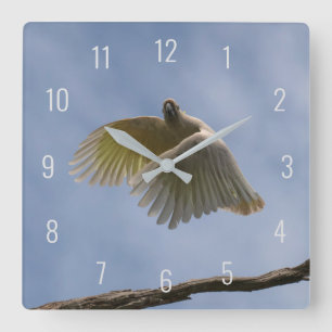 Reloj Cuadrado Hermoso loro de aves Cockatoo volando en el cielo