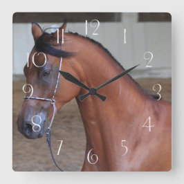 Reloj Cuadrado Hermoso semental arabio