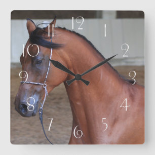 Reloj Cuadrado Hermoso semental arabio