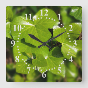 Reloj Cuadrado hiedra al sol
