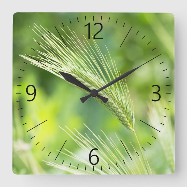 Reloj Cuadrado Hierba verde (Anverso)