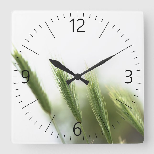 Reloj Cuadrado hierba verde (Anverso)