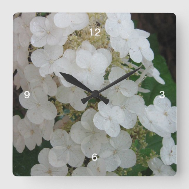 Reloj Cuadrado Hojas de roble silvestre Hydrangea Wall Clock (Anverso)