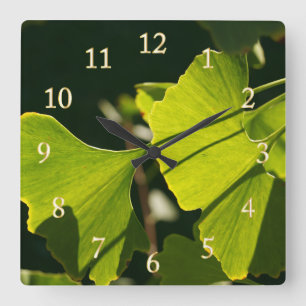 Reloj Cuadrado Hojas del Ginkgo del verano