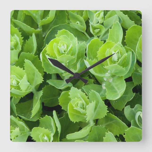 Reloj Cuadrado Hojas frescas de primavera verde (Anverso)