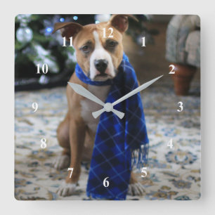 Reloj Cuadrado Holiday Cheer from Pit Bull Rescue Dog