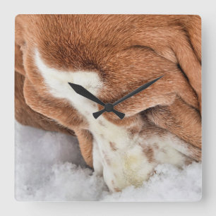 Reloj Cuadrado Huele a nieve, maravilloso hedor de Basset