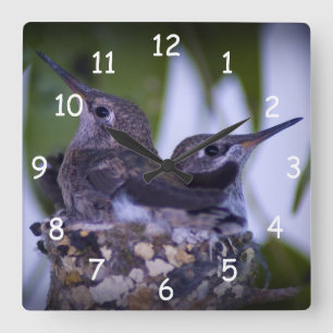 Reloj Cuadrado Hummingbirds