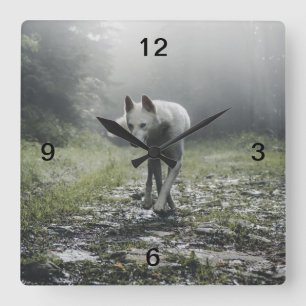Reloj Cuadrado Husky Siberiano Blanco