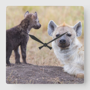 Reloj Cuadrado Hyena con una joven