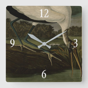 Reloj Cuadrado Ibis de madera (cigüeña): Aves Audubon de América
