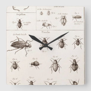 Reloj Cuadrado Ilustracion de los escarabajos de los insectos de