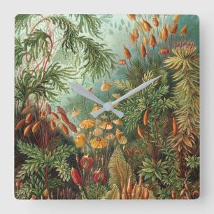 Reloj Cuadrado Ilustracion NATURAL DE ERNST HAECKEL