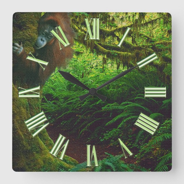 Reloj Cuadrado Imagen 2 del Primado de Orangután y Selva Tropical (Anverso)