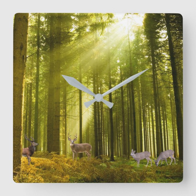 Reloj Cuadrado Imagen de bosque y ciervo para cuadrado-muro-reloj (Anverso)