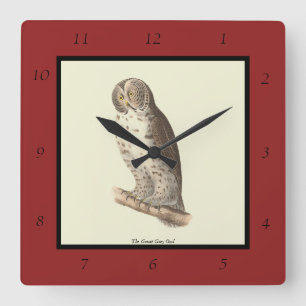 Reloj Cuadrado Imagen de pájaro de la Gran Lechuza Gris (Strix ne