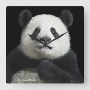 Reloj Cuadrado Imagen de Panda para Square-Wall-Clock
