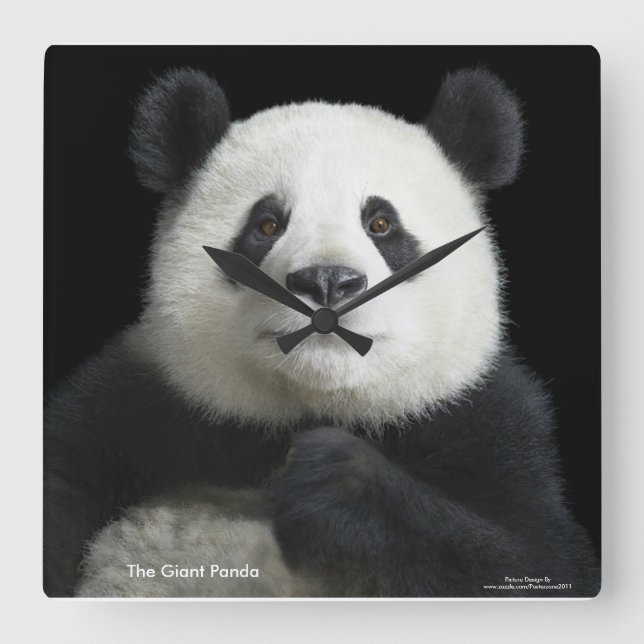 Reloj Cuadrado Imagen de Panda para Square-Wall-Clock (Anverso)