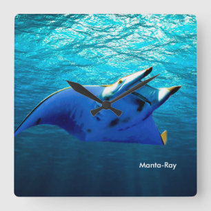 Reloj Cuadrado Imagen de pez para Square-Wall-Clock