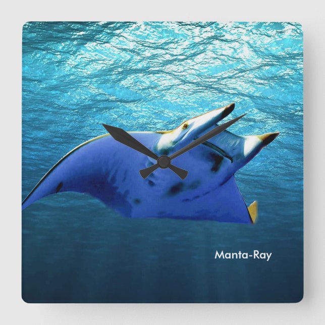 Reloj Cuadrado Imagen de pez para Square-Wall-Clock (Anverso)