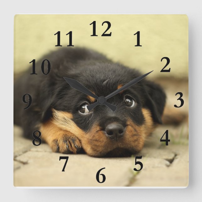 Reloj Cuadrado Imagen del perrito (Anverso)
