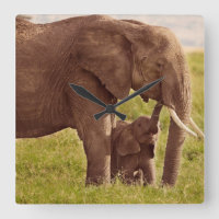 Imágenes de Getty | Elefante y bebé