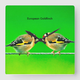 Reloj Cuadrado Imágenes de vida silvestre para Square-Wall-Clock