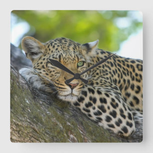 Reloj Cuadrado Impresionante leopardo
