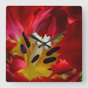 Reloj Cuadrado Interior de la flor de tulipano de loro