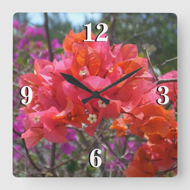 Reloj Cuadrado Isla Tropical Rosa Bougainvillea Floral (Anverso)