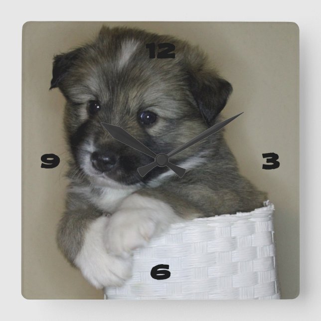 Reloj Cuadrado Islandhundwelpe (Anverso)