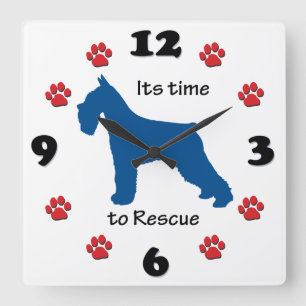 Reloj Cuadrado Its Time to rescue Schnauzers